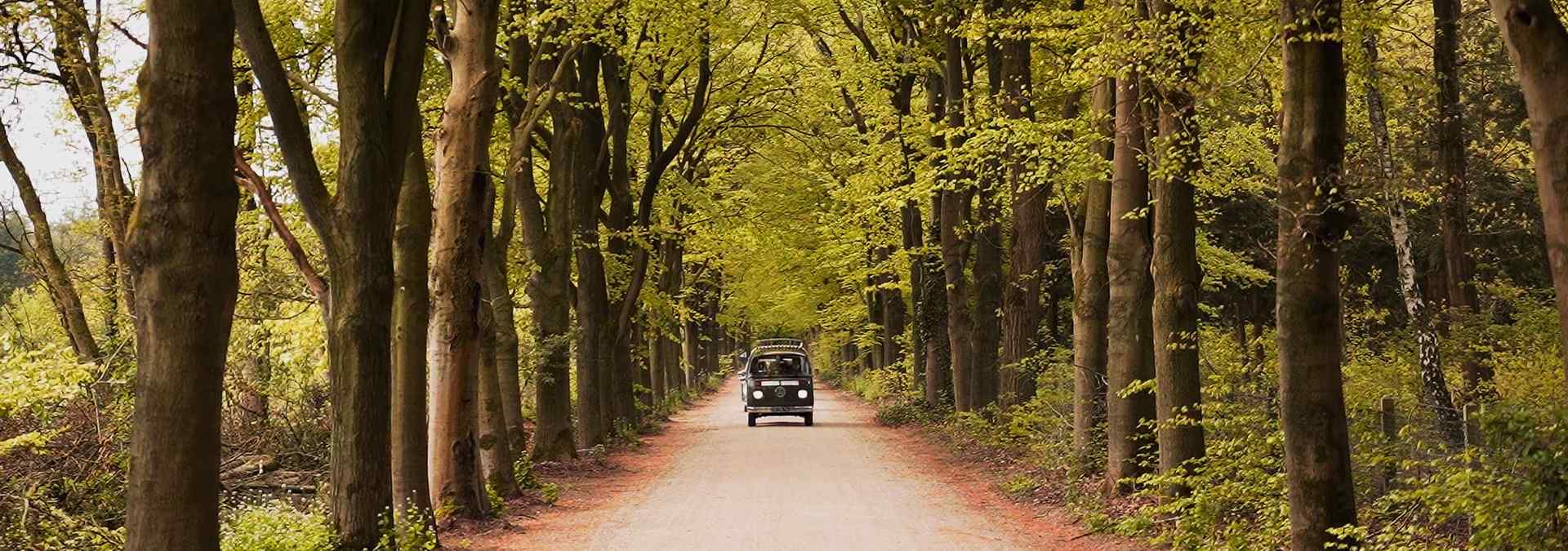 Rouwauto rijdt over een lange bosweg tussen hoge groene bomen.